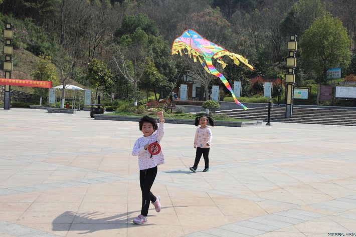 享春光 放风筝