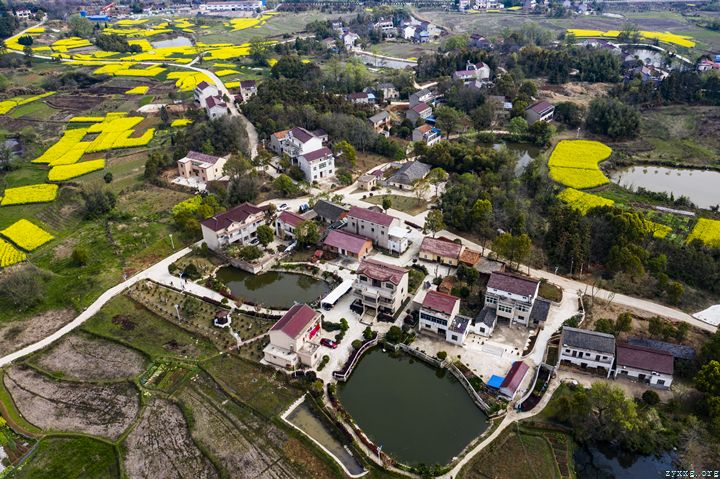 吴龙友致富不忘本 反哺家乡人