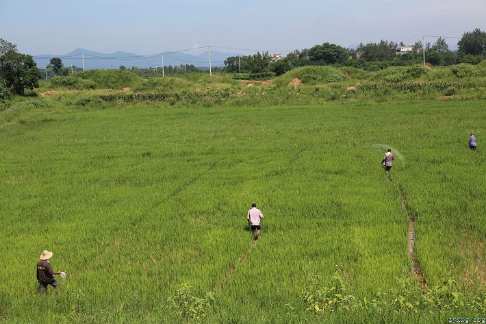 生产自救有序复产