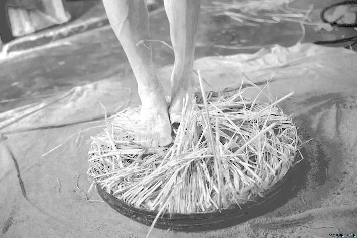 长江汛情趋稳 传统木榨飘香