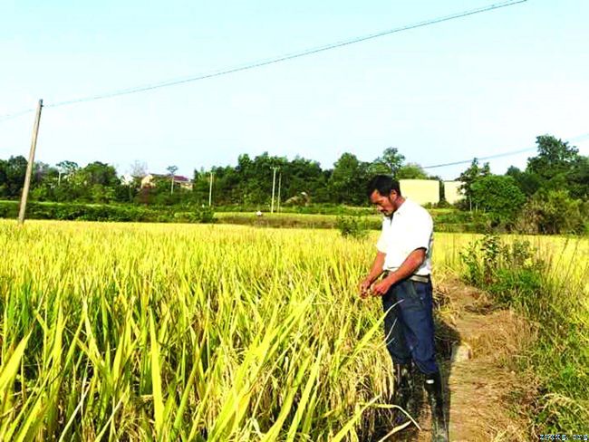 走向我们的小康生活靠自己才是正道