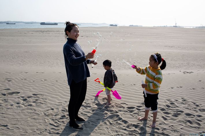 江边沙滩美如画