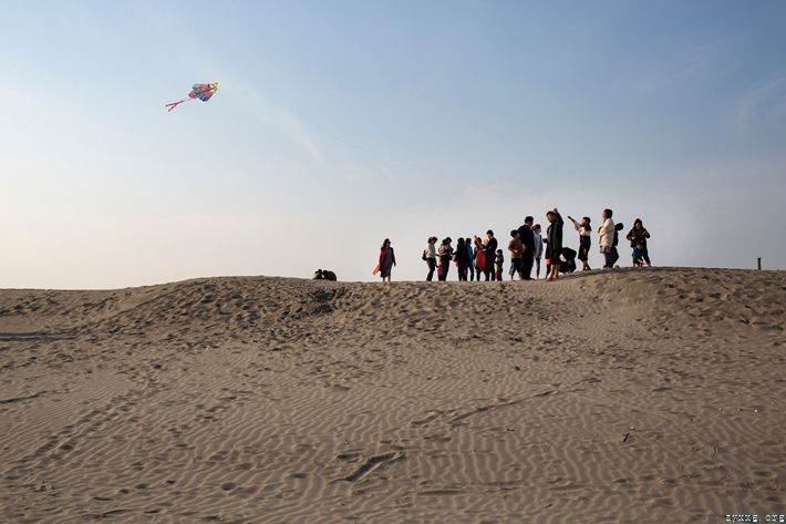 江边沙滩美如画