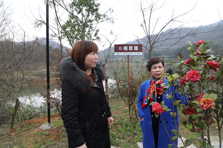 用“柔情”实干谱写为民情怀