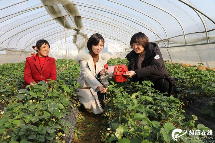 巾帼电商有力量