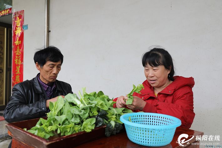 刘和平助人为乐 播撒爱心