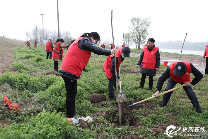 党员志愿者 植树绿江堤