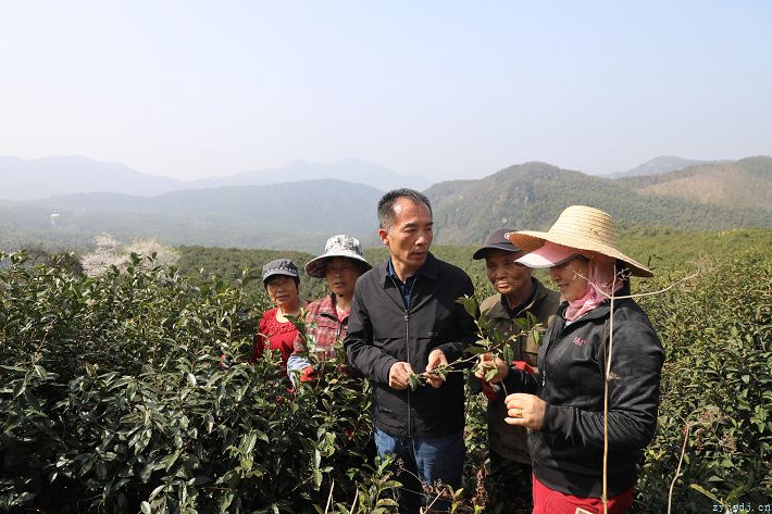 不负农时不负春