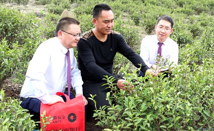 枞阳农商银行金融助力春耕备耕