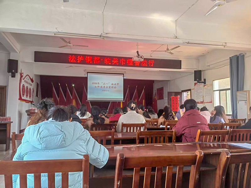 白柳镇开展“三八”普法宣讲活动