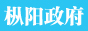 枞阳政府